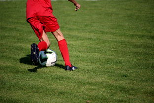 开云体育入口-CBA球队完善伤病防护体系保障运动员健康和职业生涯，cba球员伤情报告